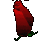 ورده