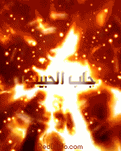 المتواجدون الآن ؟