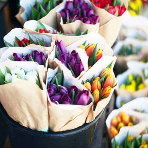 ���� ���� ������ �� ���� ������