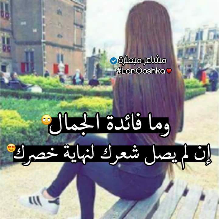 ���� ���� ������ �� ���� ������