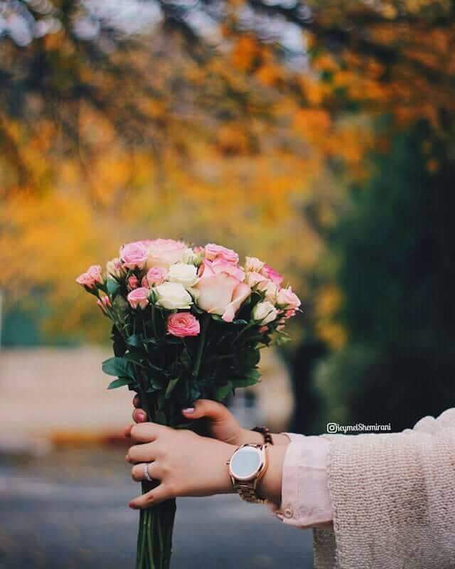 ���� ���� ������ �� ���� ������