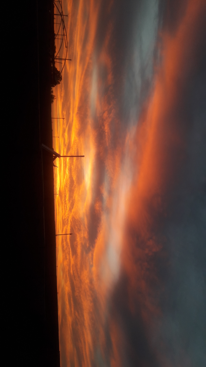 ���� ���� ������ �� ���� ������