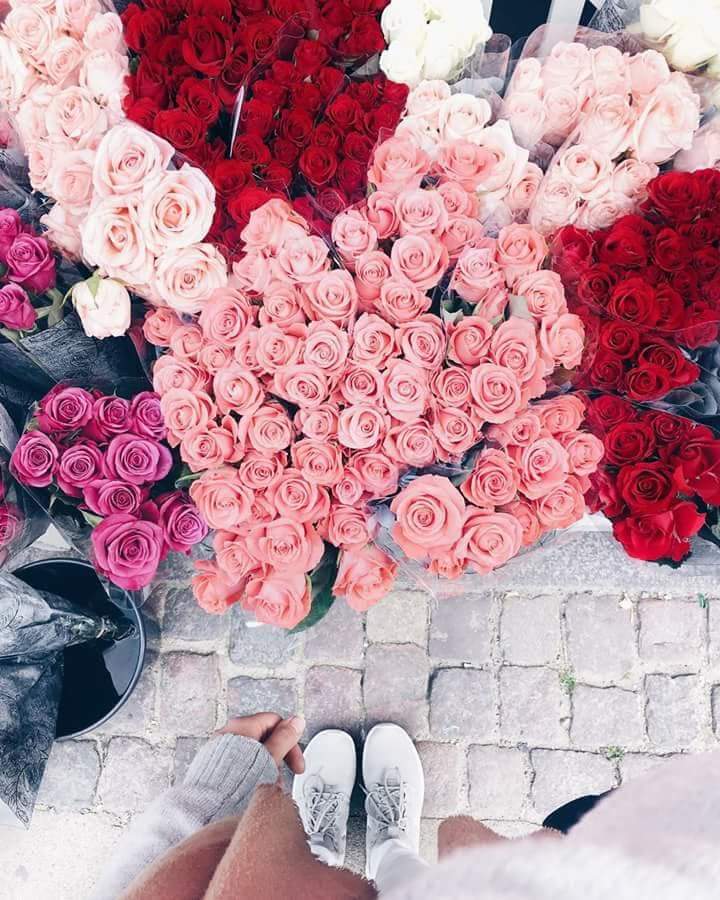 ���� ���� ������ �� ���� ������