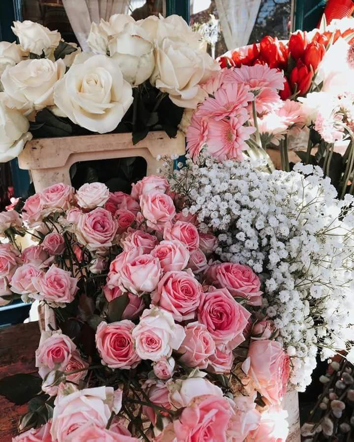 ���� ���� ������ �� ���� ������