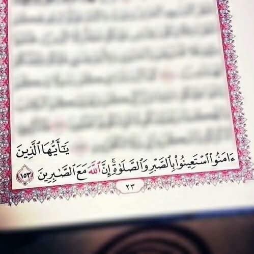 ���� ���� ������ �� ���� ������