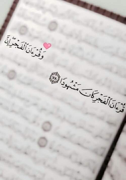 ���� ���� ������ �� ���� ������