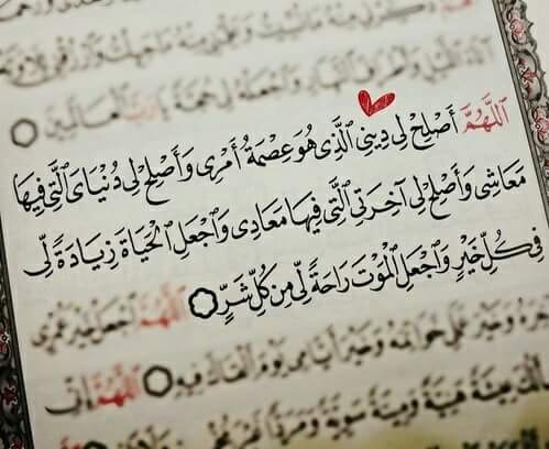 ���� ���� ������ �� ���� ������