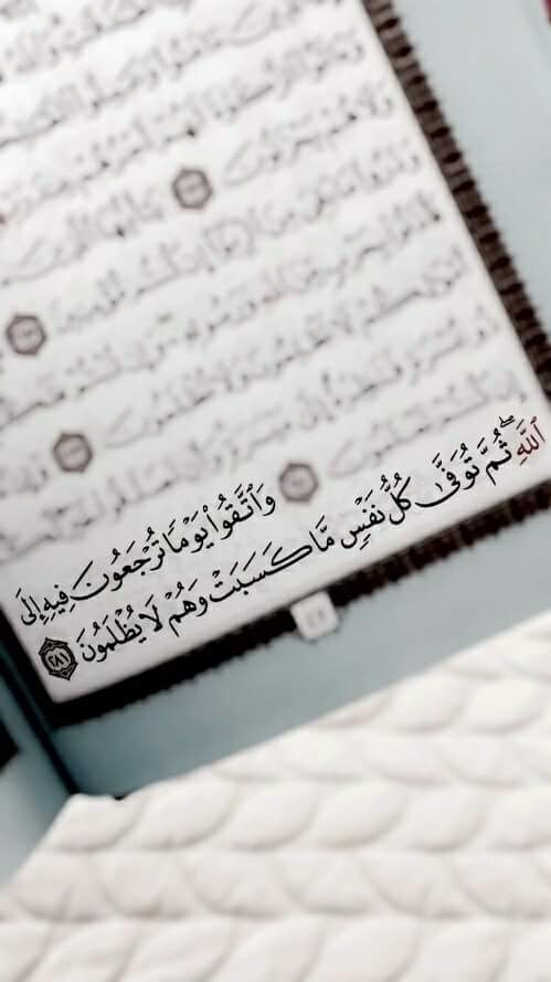 ���� ���� ������ �� ���� ������