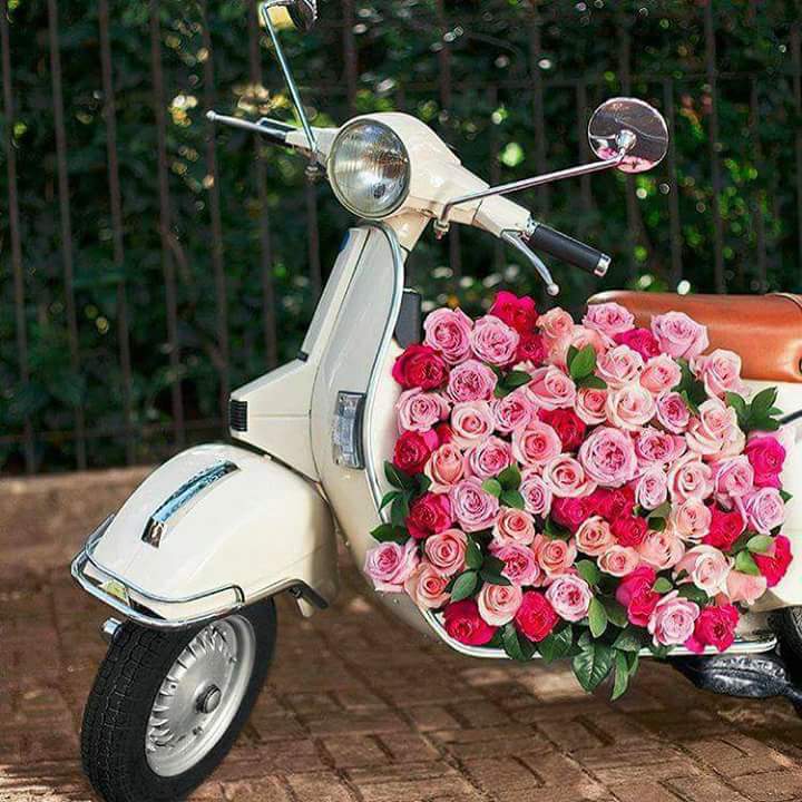 ���� ���� ������ �� ���� ������