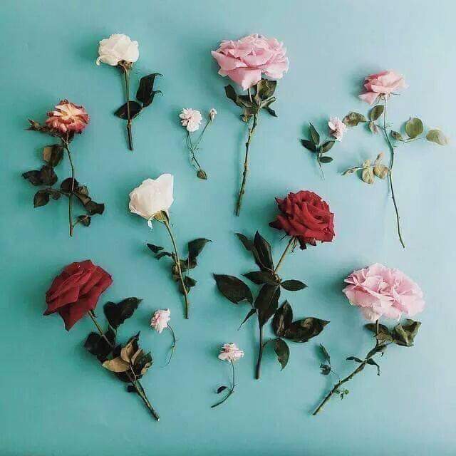 ���� ���� ������ �� ���� ������