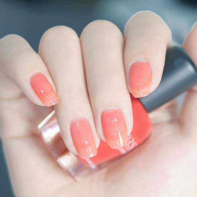 ���� ���� ������ �� ���� ������