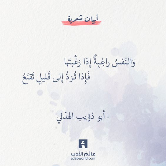 ���� ���� ������ �� ���� ������