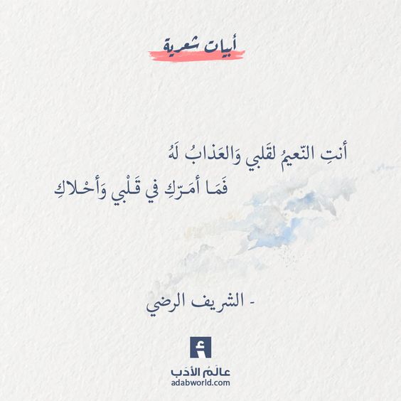 ���� ���� ������ �� ���� ������