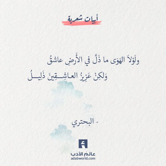 ���� ���� ������ �� ���� ������