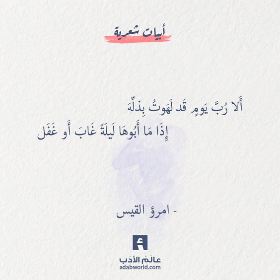 ���� ���� ������ �� ���� ������