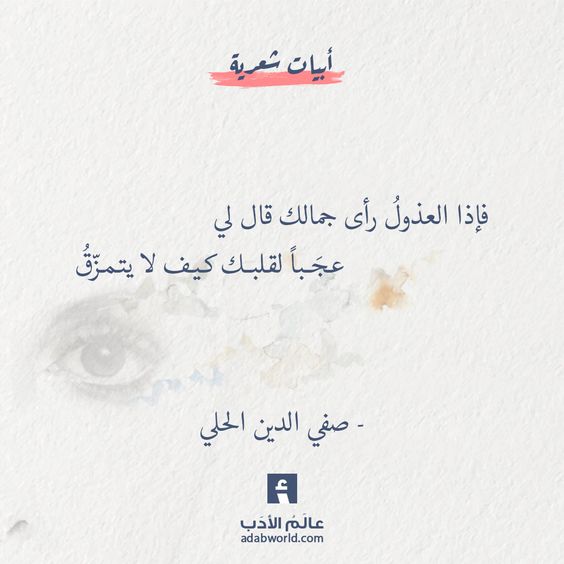 ���� ���� ������ �� ���� ������