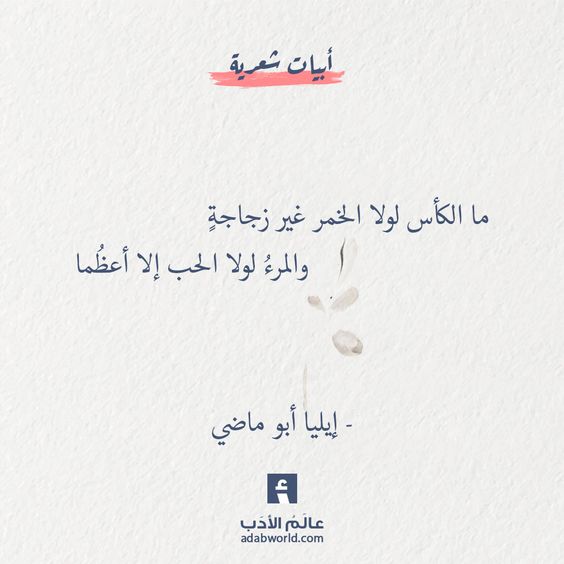 ���� ���� ������ �� ���� ������