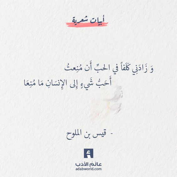 ���� ���� ������ �� ���� ������