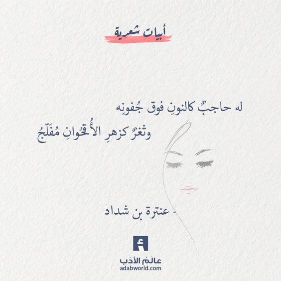 ���� ���� ������ �� ���� ������