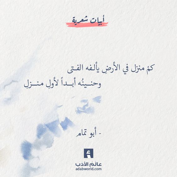 ���� ���� ������ �� ���� ������