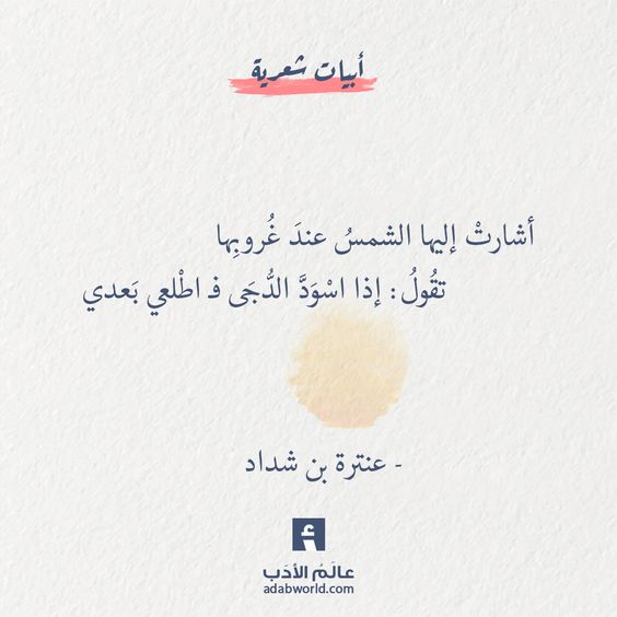 ���� ���� ������ �� ���� ������