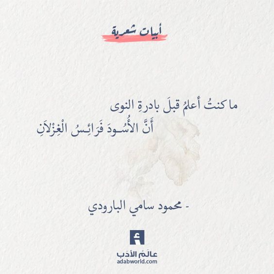 ���� ���� ������ �� ���� ������