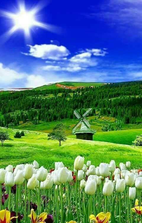 ���� ���� ������ �� ���� ������