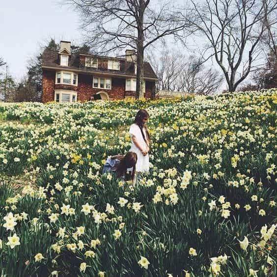 ���� ���� ������ �� ���� ������