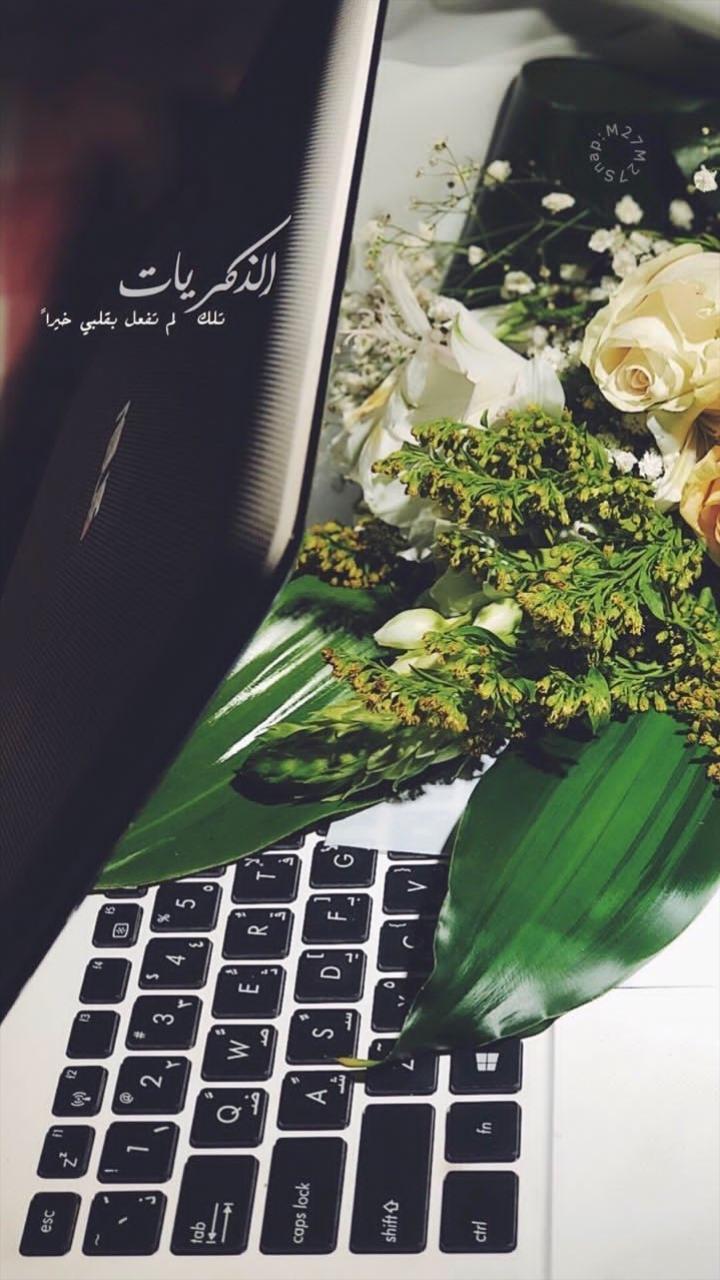 ���� ���� ������ �� ���� ������