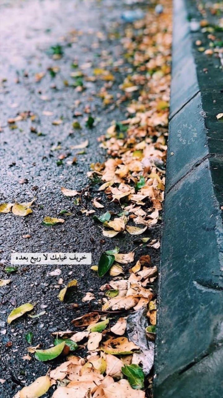 ���� ���� ������ �� ���� ������