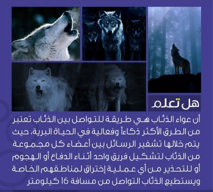 ���� ���� ������ �� ���� ������