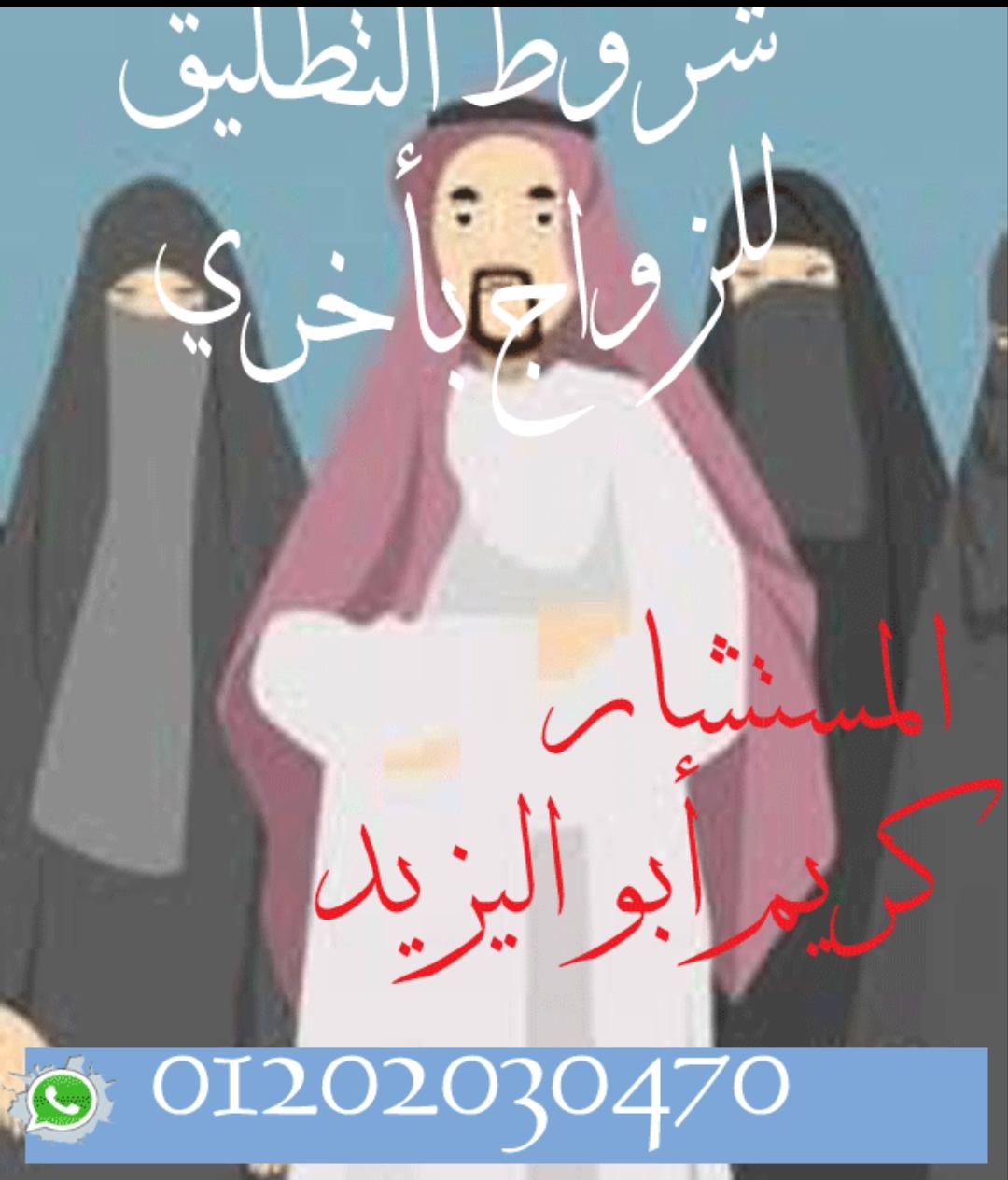 افضل محامي في القاهره والاسكندريه(كريم ابو اليزيد)01202030470 719967777