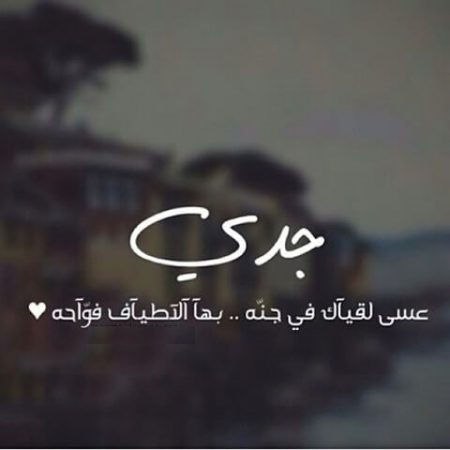 ���� ���� ������ �� ���� ������