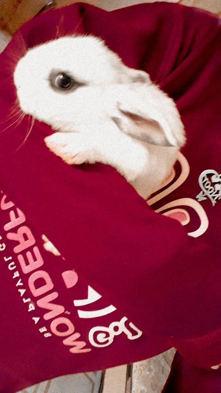 ���� ���� ������ �� ���� ������