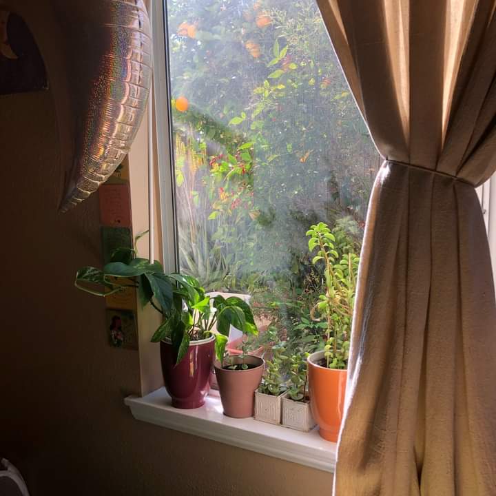 ���� ���� ������ �� ���� ������