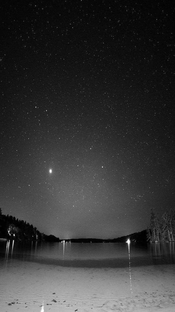 ���� ���� ������ �� ���� ������