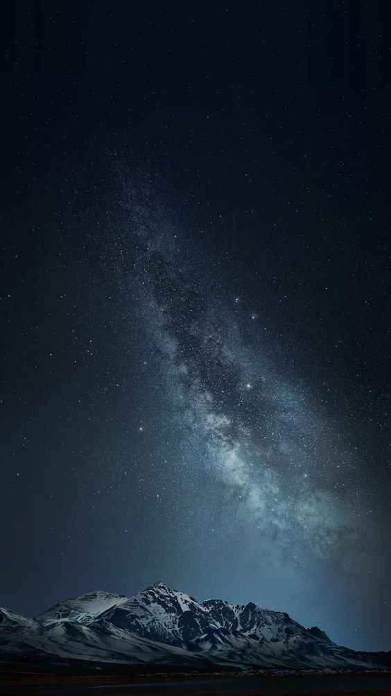223818397.jpg