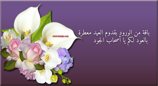 نقره لعرض الصورة في صفحة مستقلة