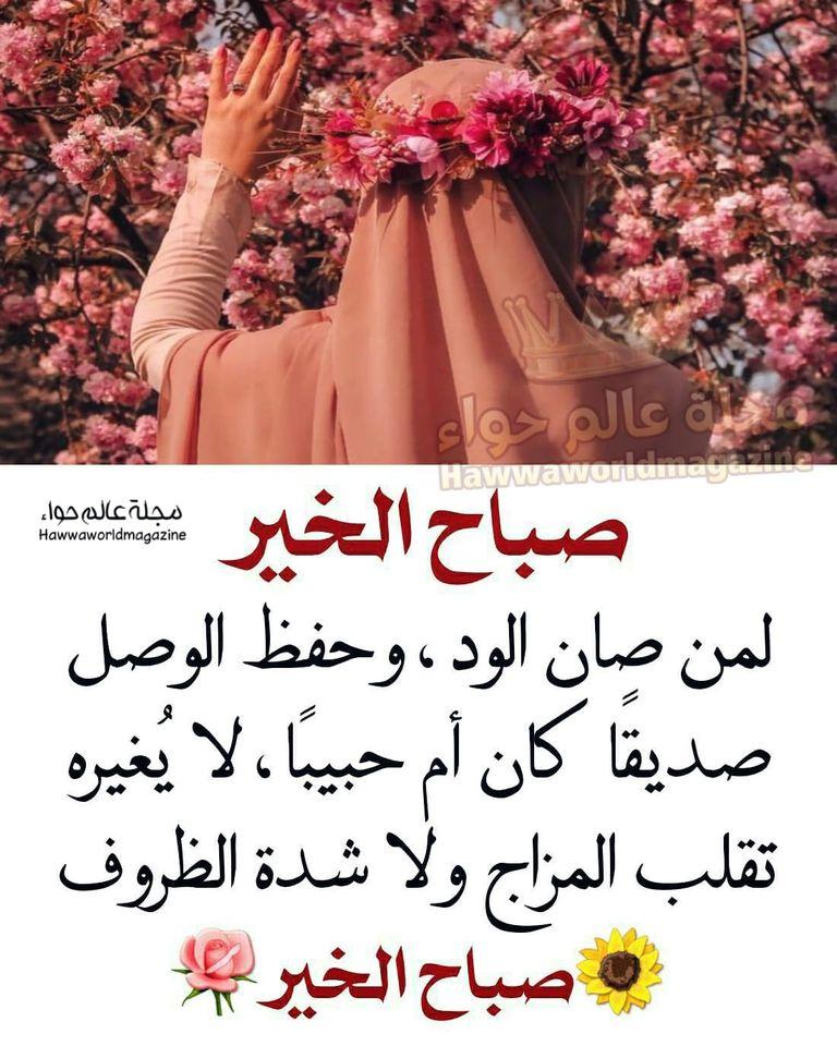 ���� ���� ������ �� ���� ������