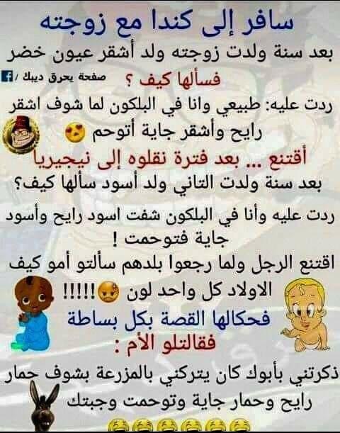 ���� ���� ������ �� ���� ������