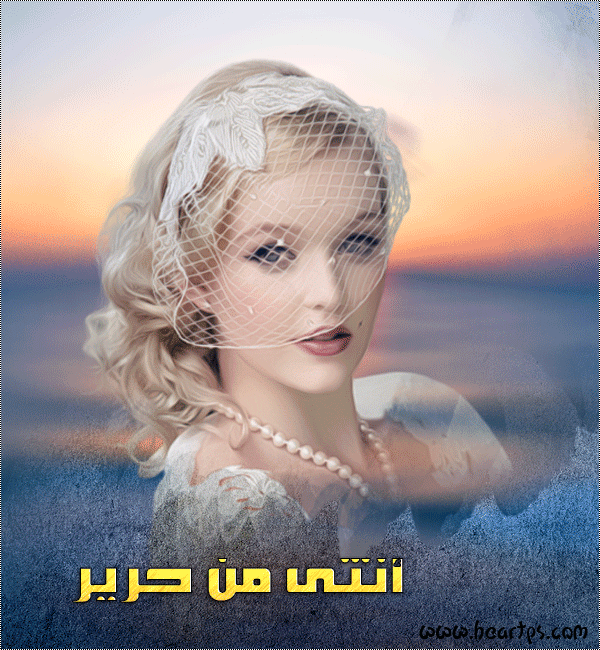 ���� ���� ������ �� ���� ������