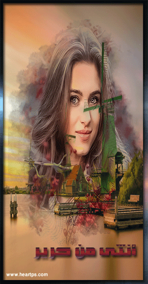 ���� ���� ������ �� ���� ������