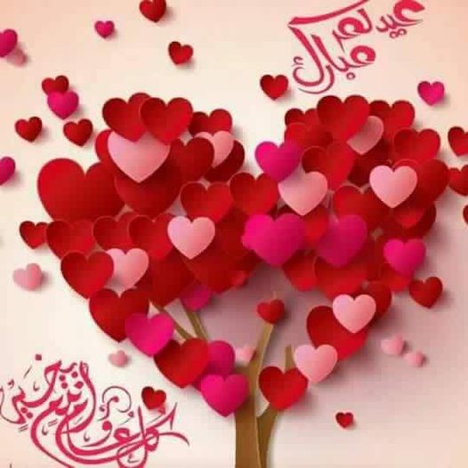 ���� ���� ������ �� ���� ������