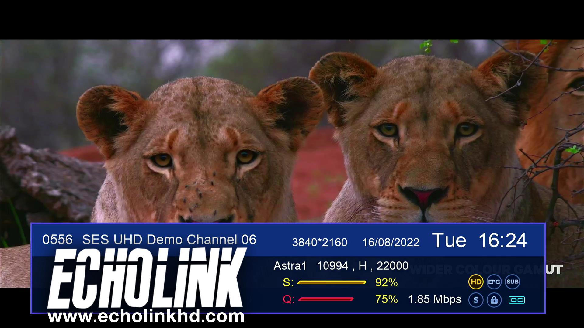 echolink -  تحديث جديد لجهاز   4K  ECHOLINK ATOMO 4K + تغير كلي وجدري للجهاز  581531106
