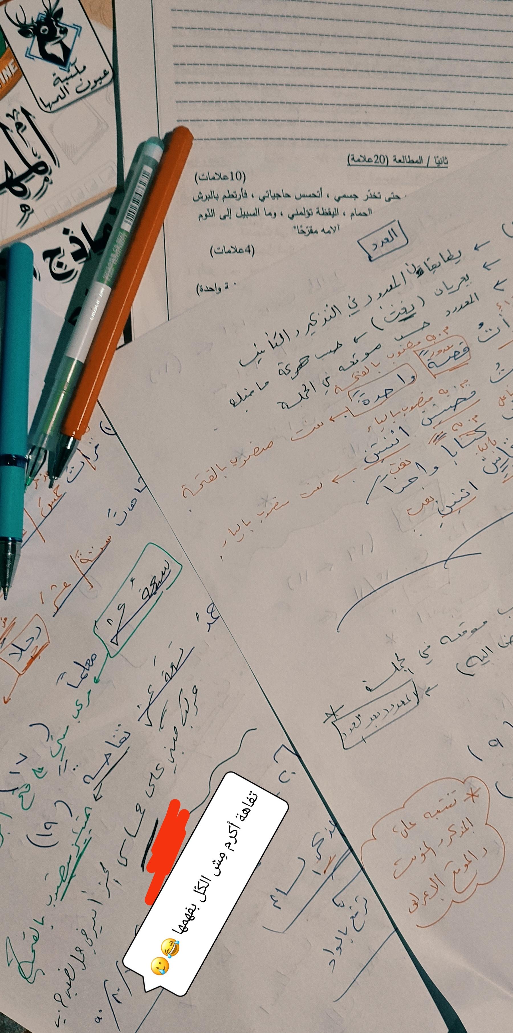 ���� ���� ������ �� ���� ������