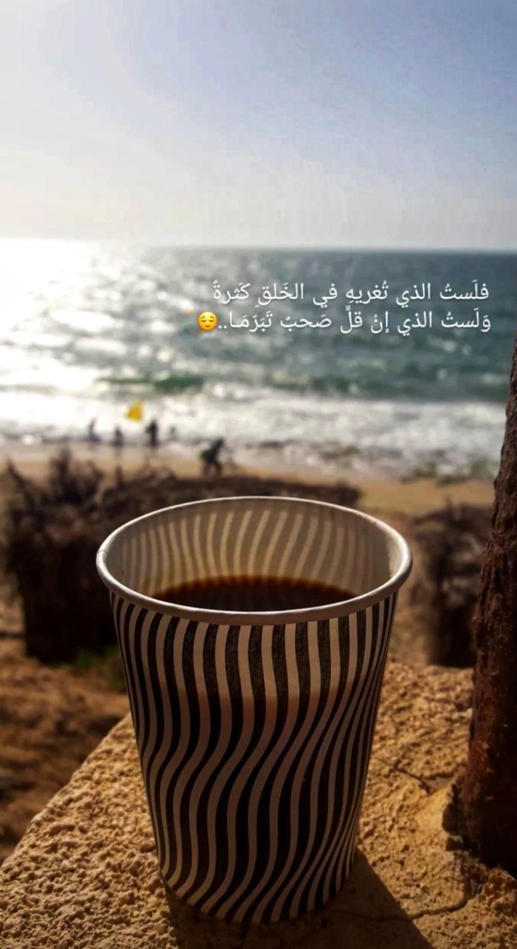 ���� ���� ������ �� ���� ������