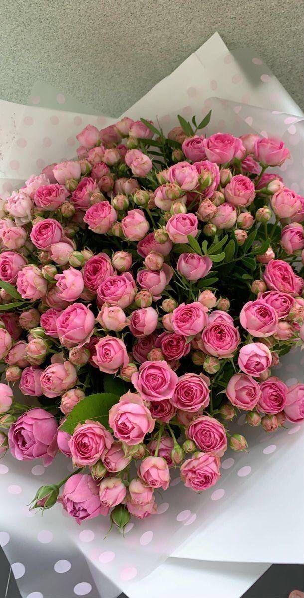 ���� ���� ������ �� ���� ������