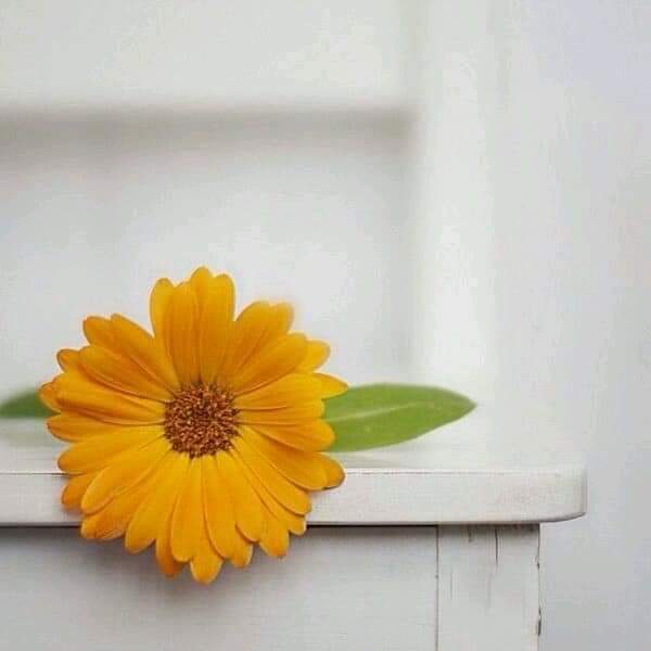 ���� ���� ������ �� ���� ������